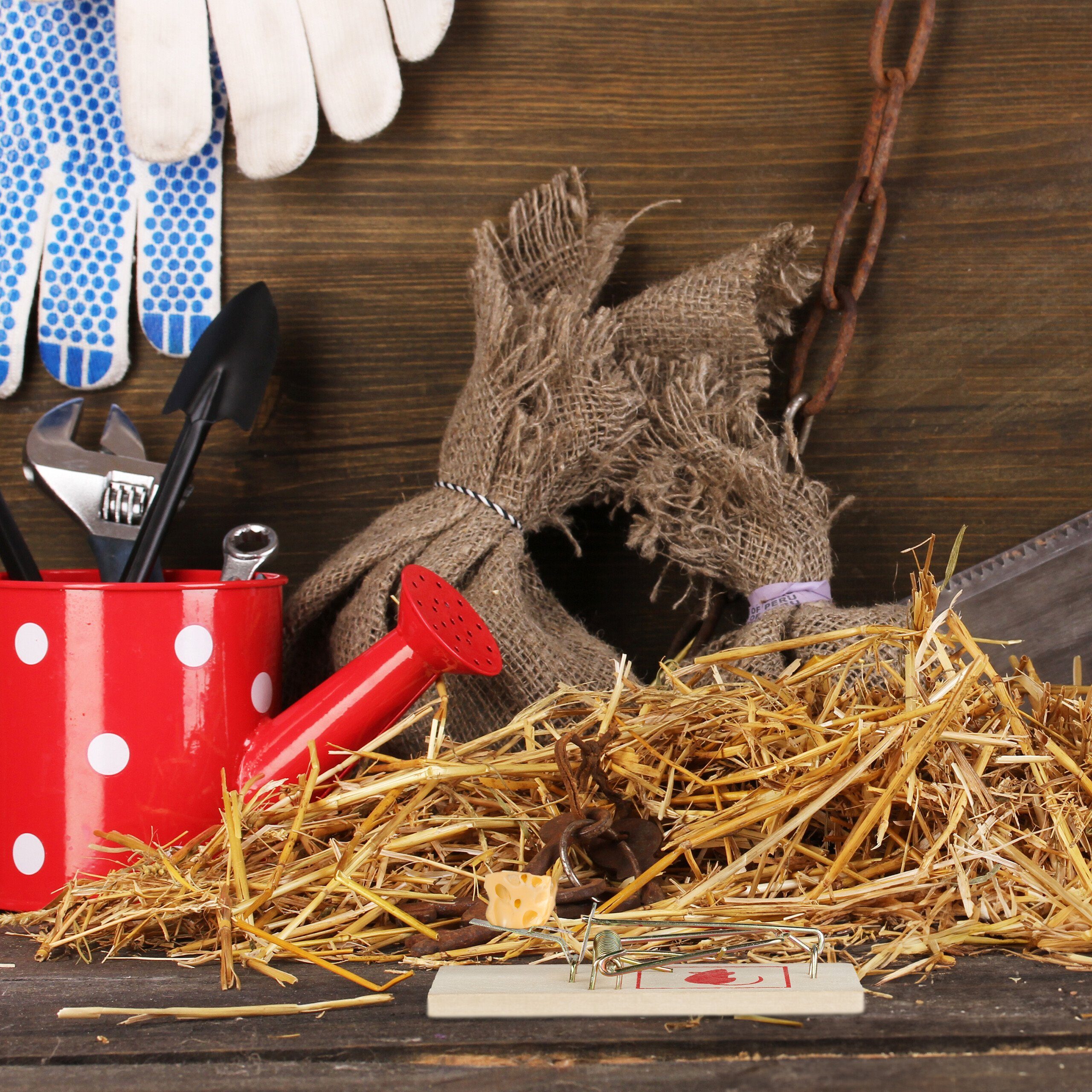 relaxdays Schlagfalle Mausefalle Holz im 25er Set