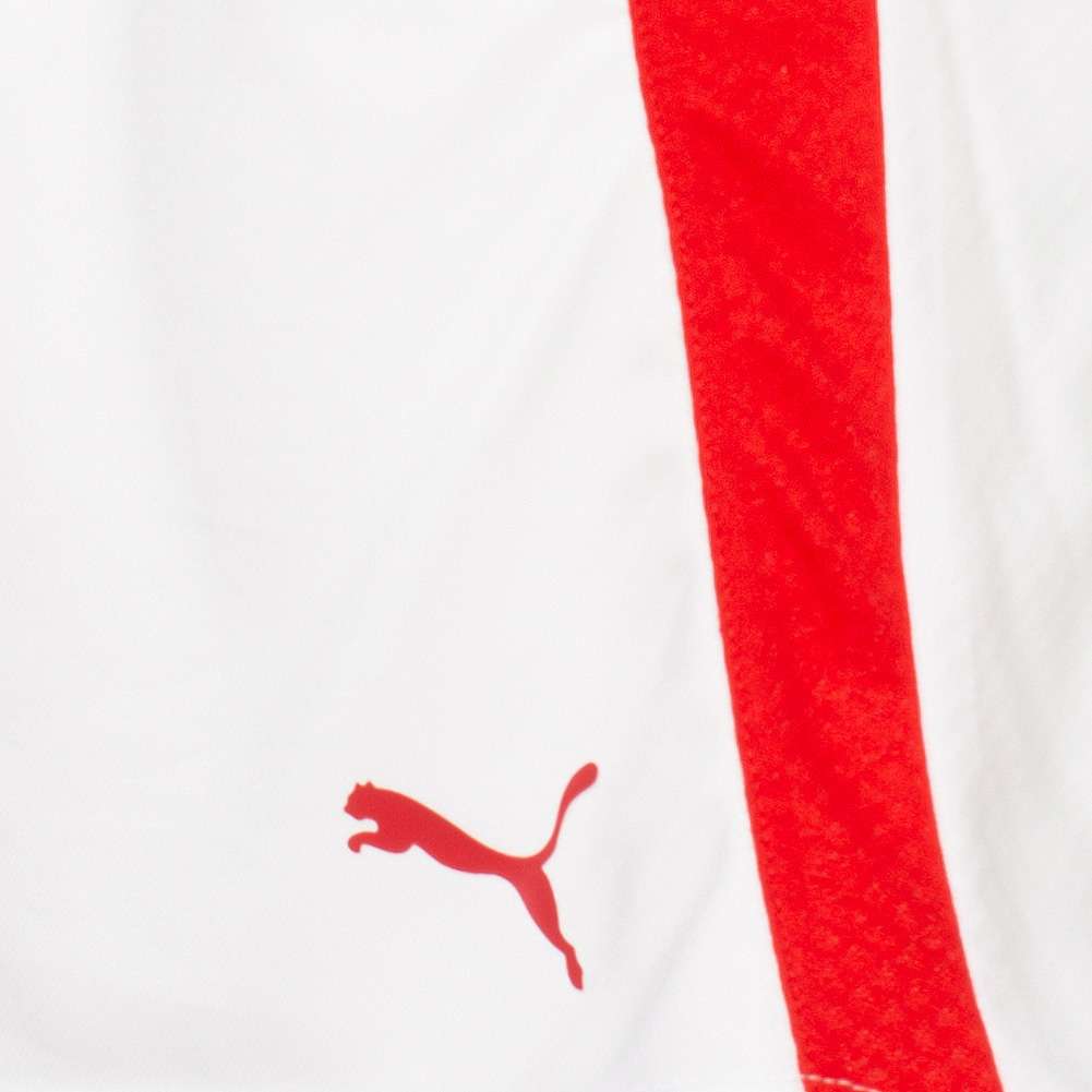 Dänemark PUMA Damen Heim Handball Shorts 744032-02