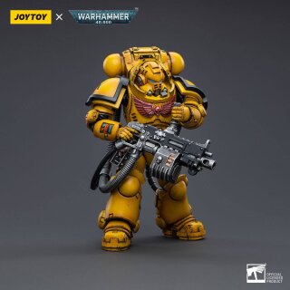 Warhammer 40k Actionfigur: Imperial Fists Heavy Intercessors 01