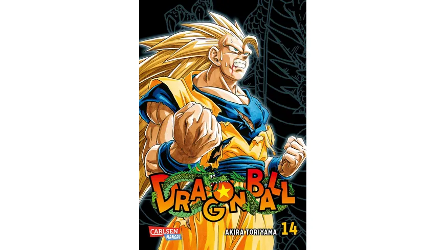 Dragon Ball Massiv 14