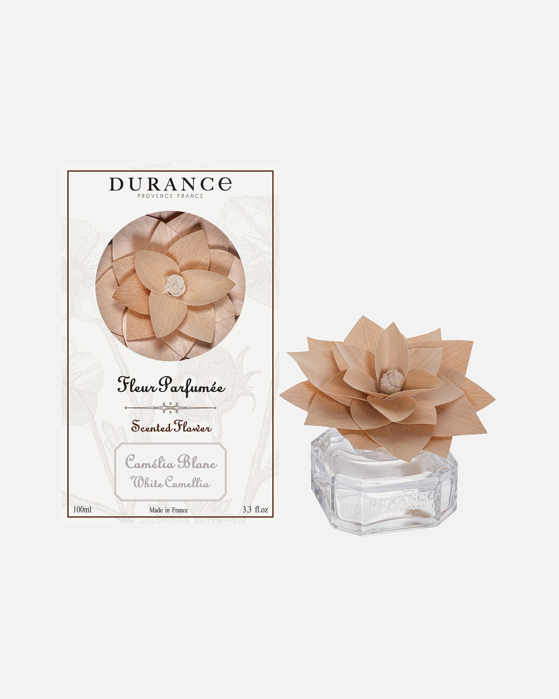Durance Camellia