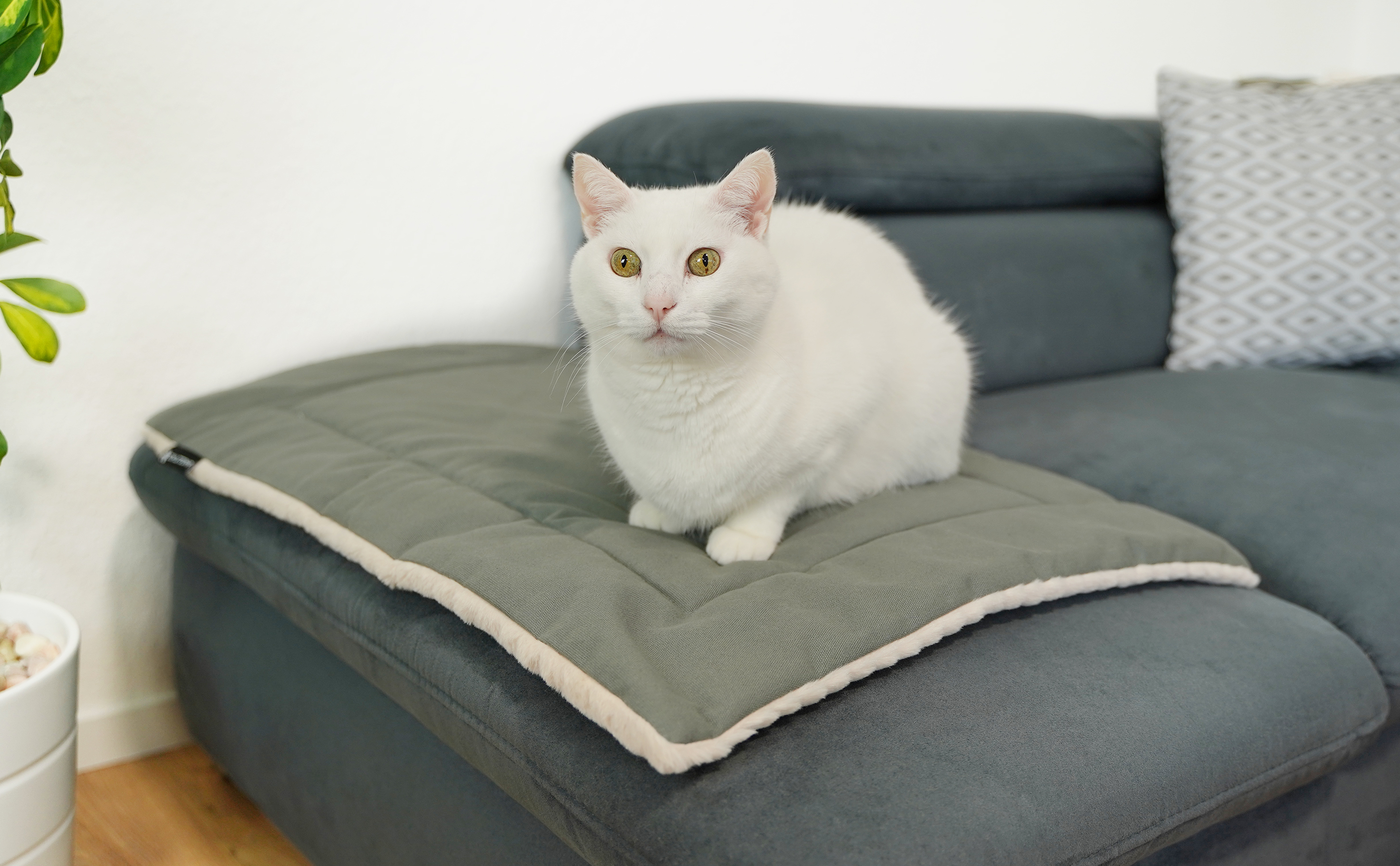 Schlitzohr Hundedecken Schlitzohr Katzendecke Hundedecke Minka
