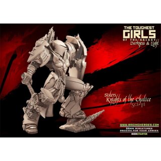 Knights of the Chalice Troopers (SOEM SF)