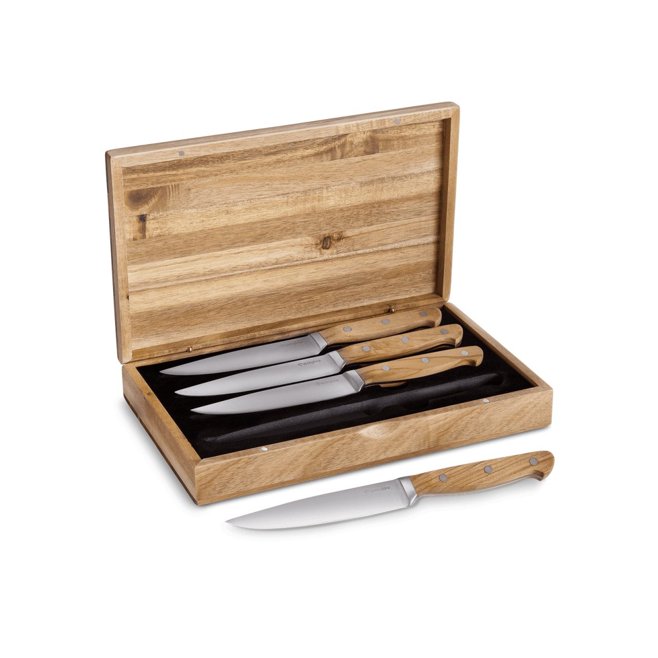 Springlane Steakmesser Steakmesserset Stan 4 teilig (4 Stück)