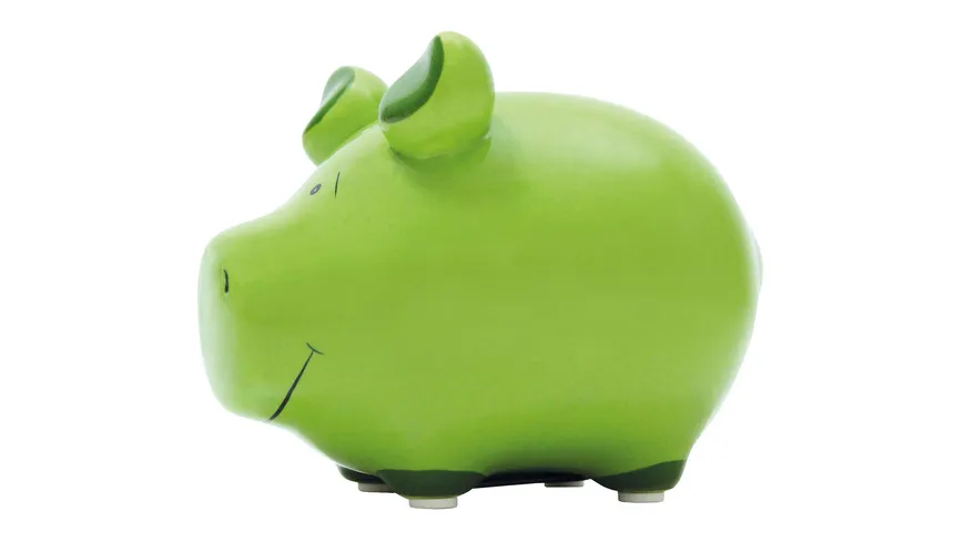 KCG Kleinschwein Blanko Grün