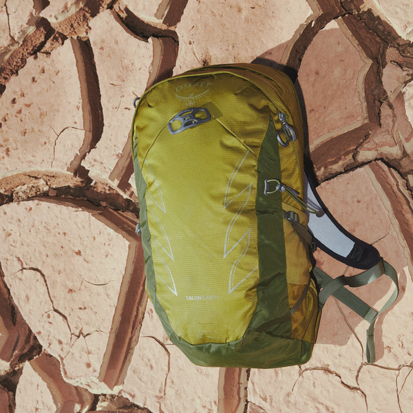 TALON EARTH 22 - Tagesrucksack