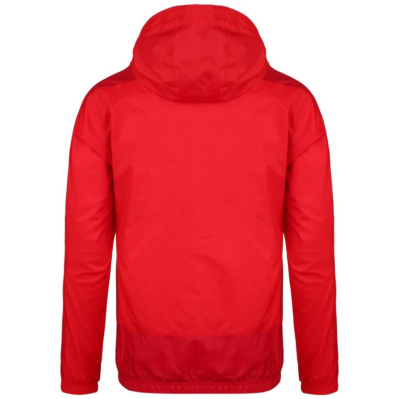 PUMA teamGoal 23 Regenjacke Herren