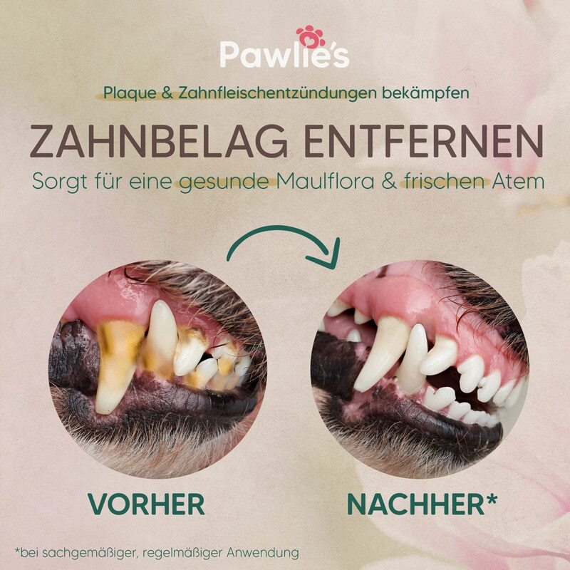 Pawlie's Zahnpflege Pawlie's Zahnpflege Zahncreme