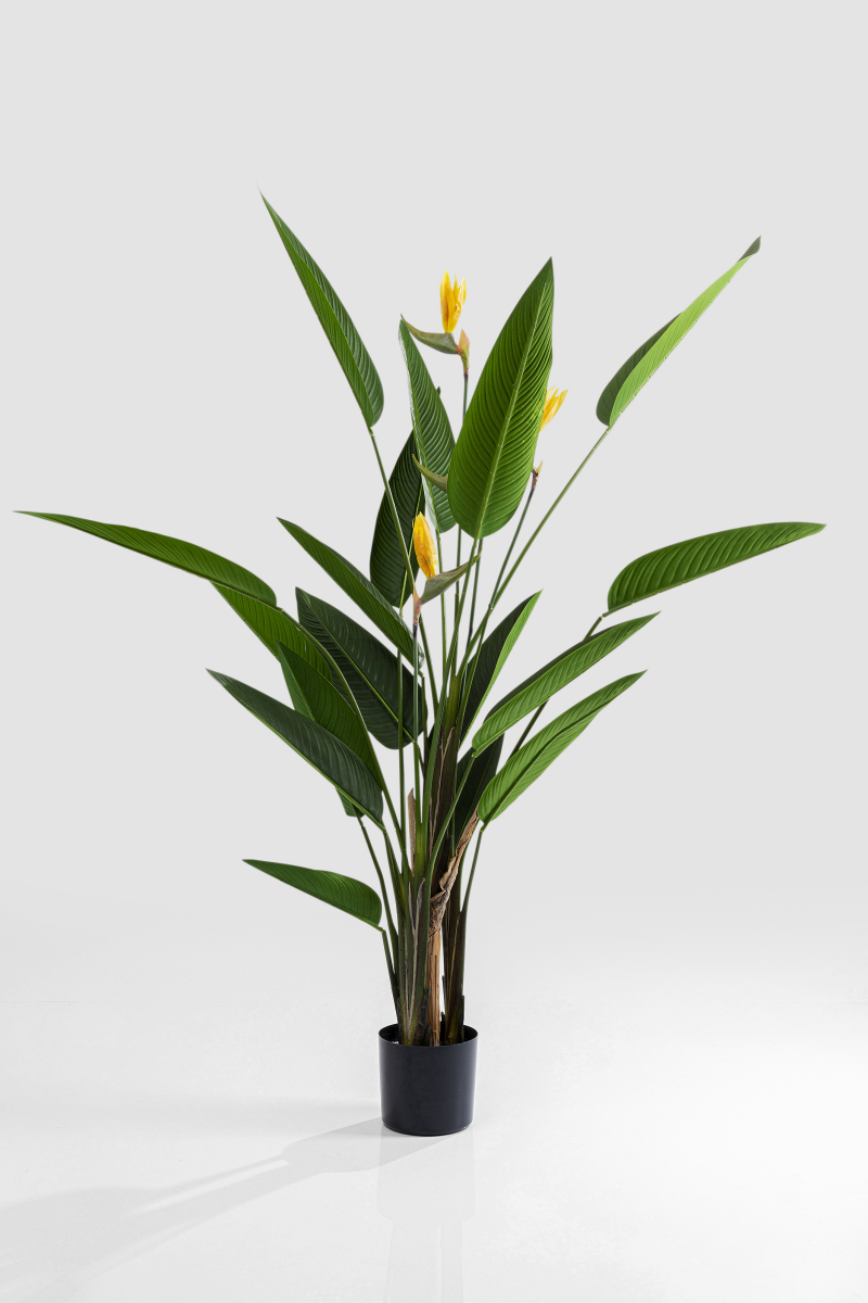 KARE Kunstpflanze Strelitzia