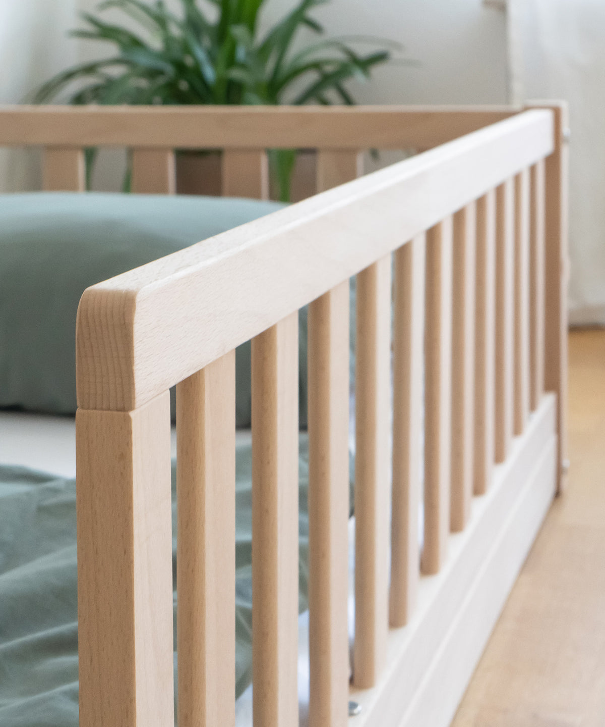 Bodenbett Buche