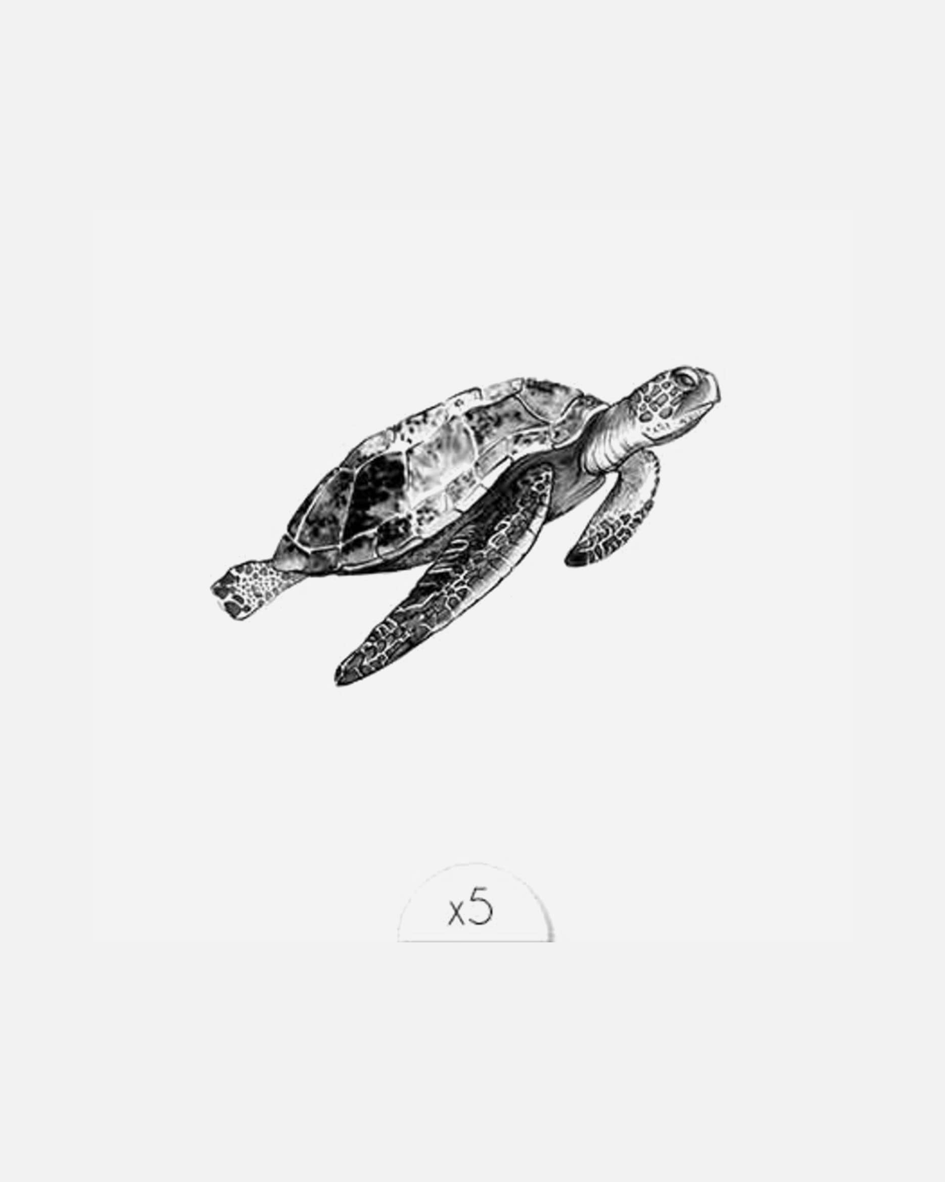Sioou Turtle