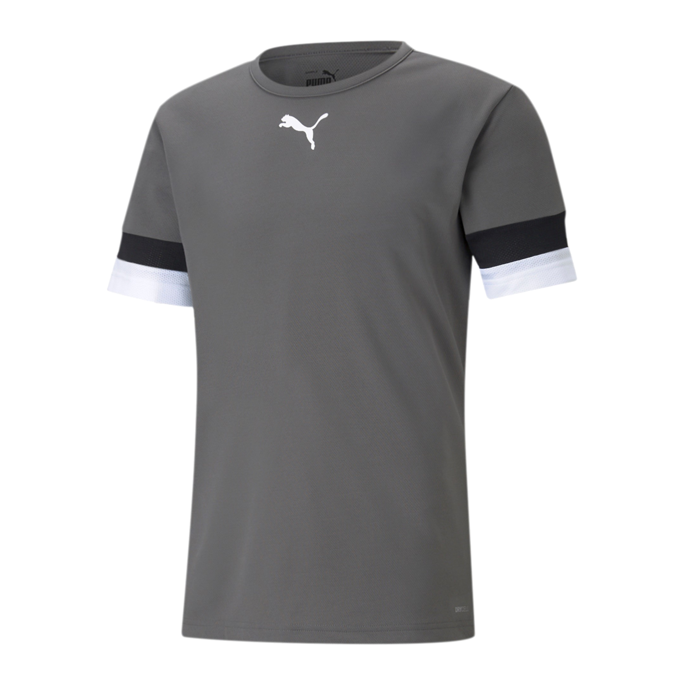 PUMA teamRISE Trikot Grau F13
