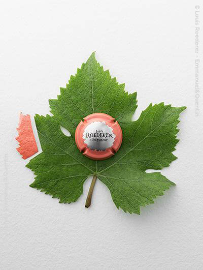 Louis Roederer : Brut Nature Rosé Édition Limitée by Philippe Starck 2015