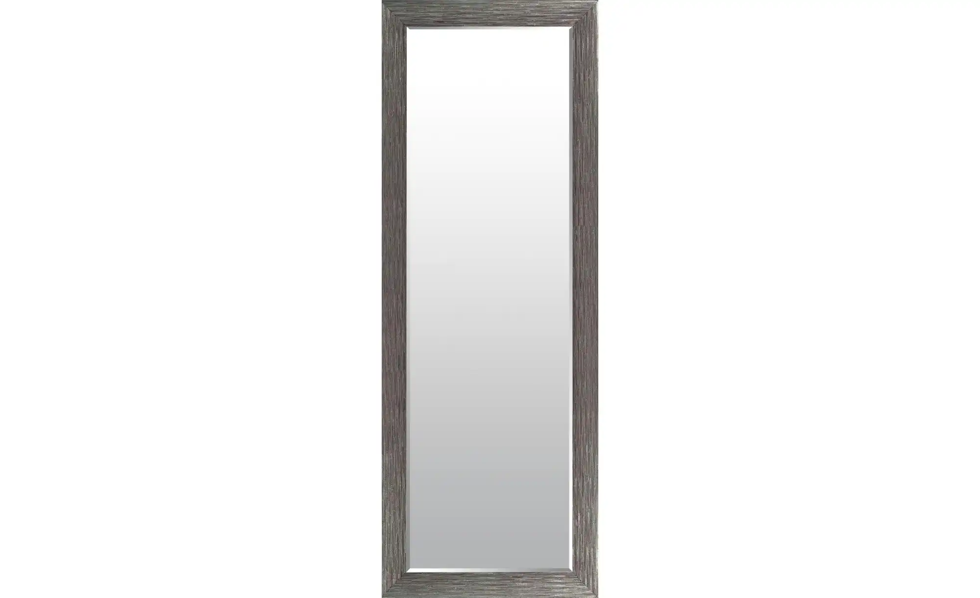 Spiegel 63 x 163 cm