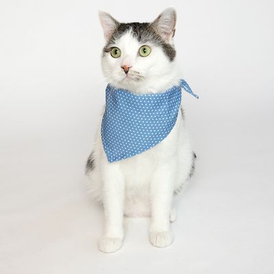 Bandana Set