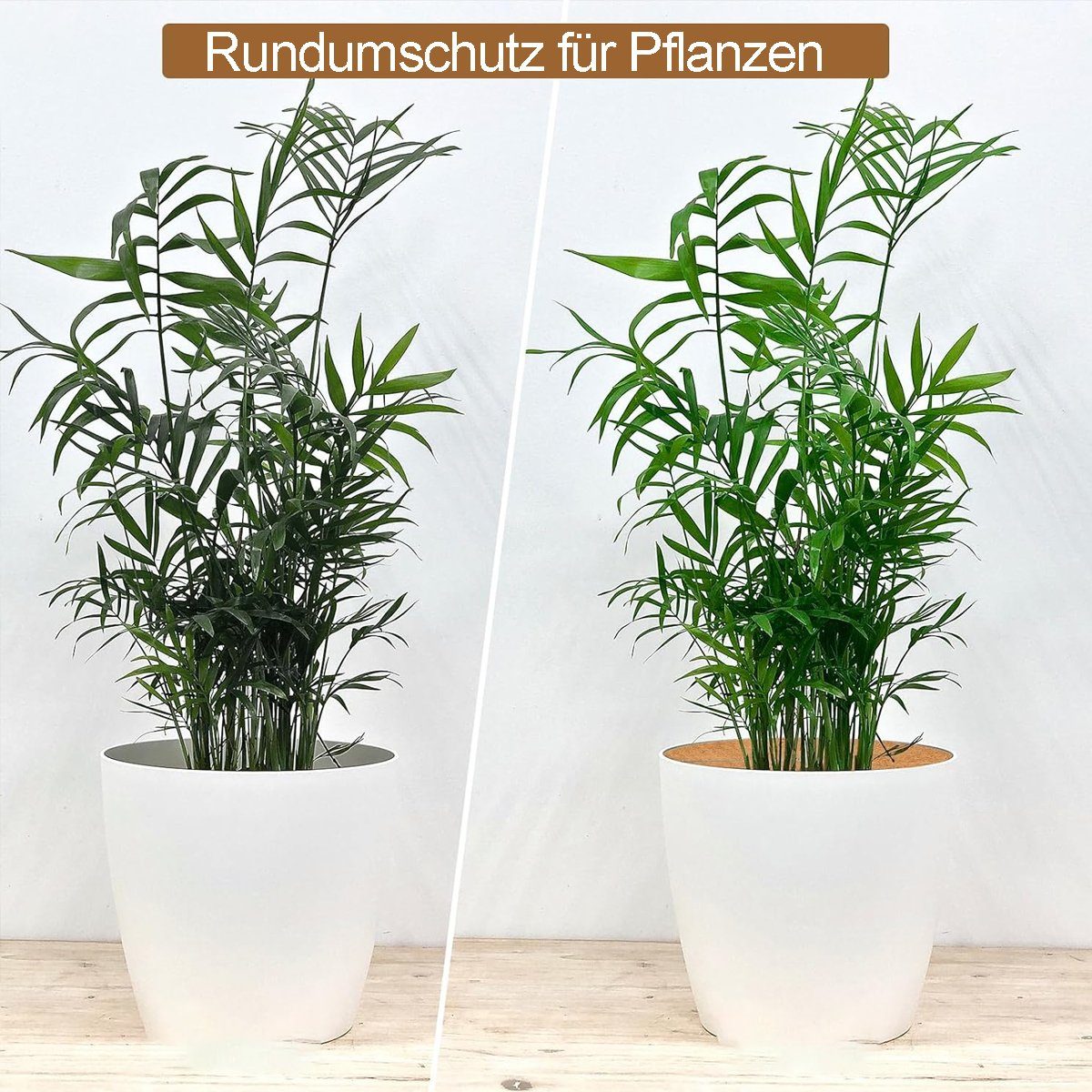 JedBesetzt Kokosscheibe 6 Stück Kokosscheibe,Pflanzenschutz Winterschutz, für Frostschutz 20cm