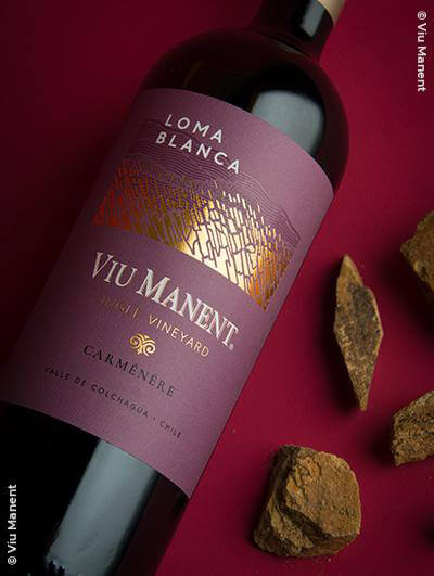 Viu Manent : Loma Blanca Single Vineyard Carménére 2018