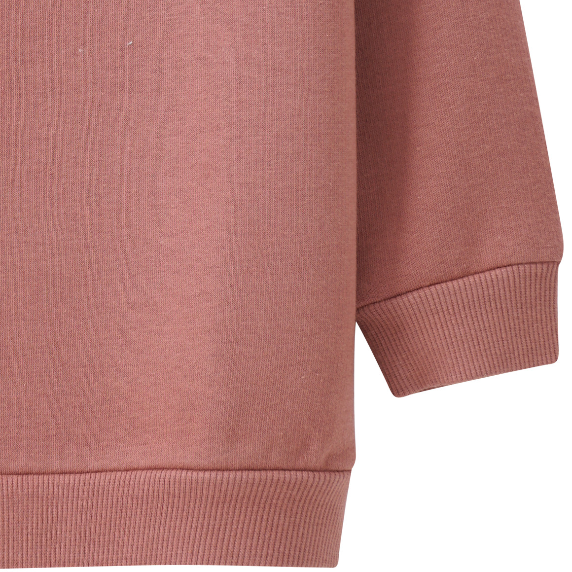 Mädchen Sweatshirt mit Hunde-Print