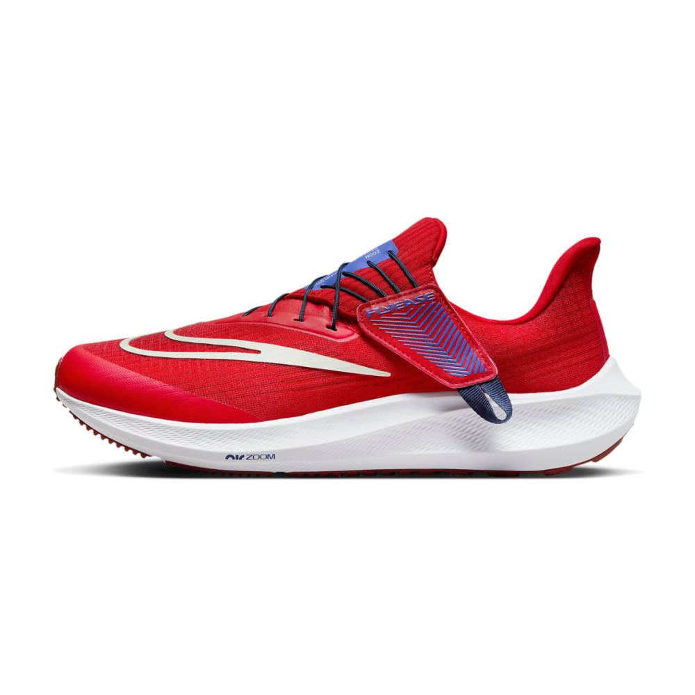 Nike Pegasus FlyEase DJ7381-601 / rot