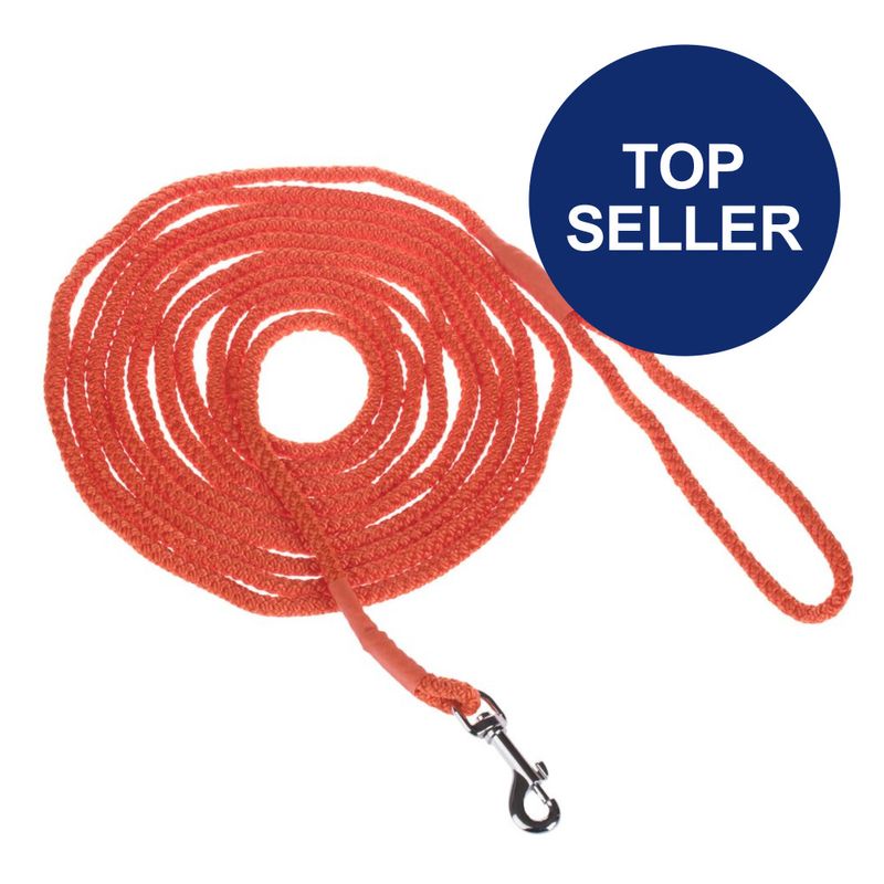Heim Feldleine Orange zu TOP-Preisen