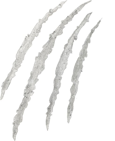 All Tigers Eyeshadow Lidschatten