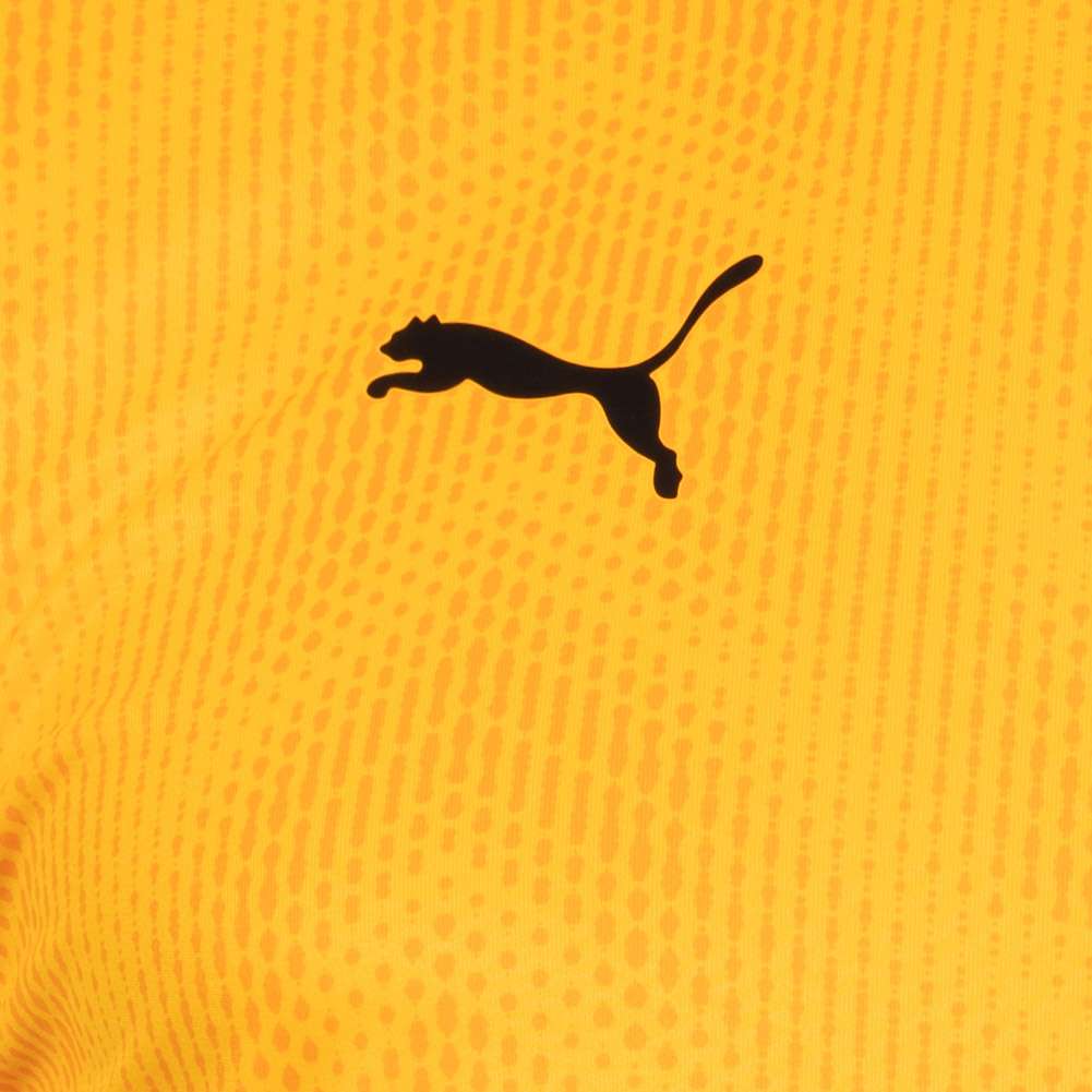 PUMA ftblNXT Graphic Shirt Herren Trikot 657007-04