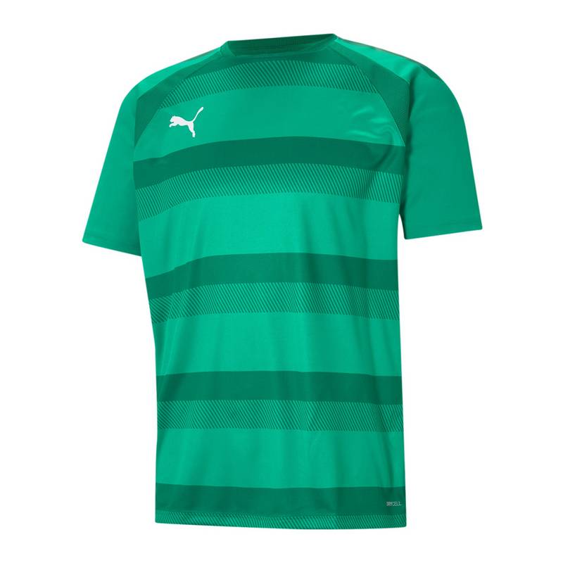 PUMA teamVISION Trikot Trikot Herren