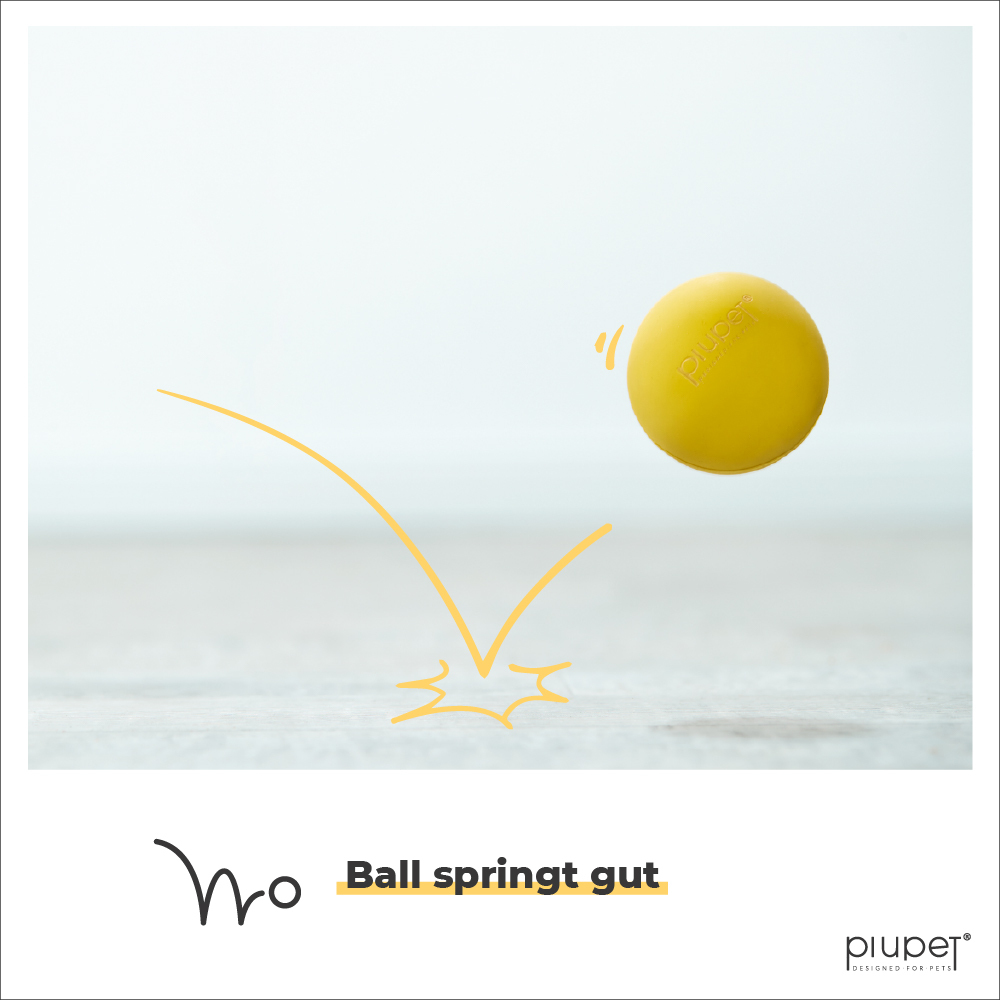 PIUPET Hundebälle PIUPET Hundeball-Set