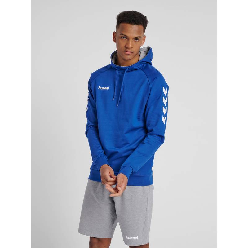 hummel HMLGO COTTON HOODIE Sweatshirt Herren