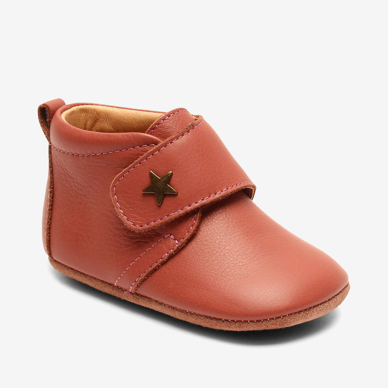 baby star old rose - Rose