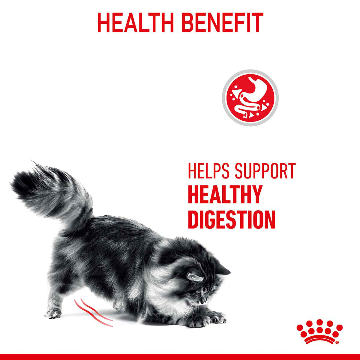 Royal Canin FCN Digestive Care günstig kaufen