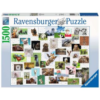** % SALE % ** Ravensburger Puzzle: Funny Animals Collage (1500 Teile)