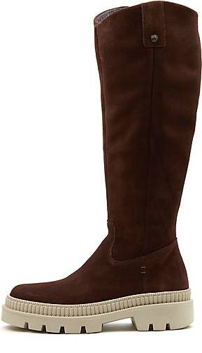 COX Plateau-Stiefel