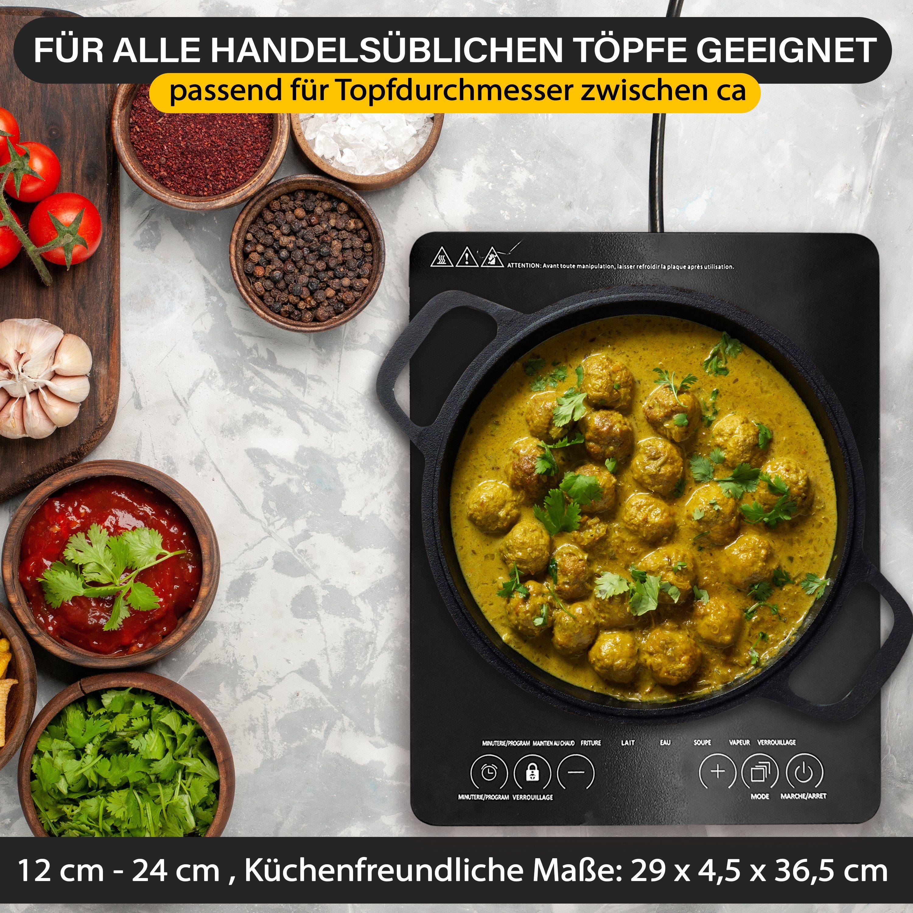 Blaupunkt Einzel-Induktionskochplatte Einzelkochplatte Induktion 2000W Camping Induktionskochplatte Einzel, Induktionskochfeld, Campingkocher, Induktionsherd Kochplatte mit Timer