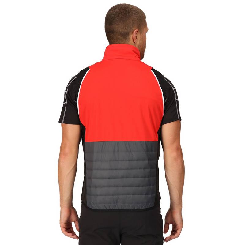 Regatta Steren Funktionsjacke Herren