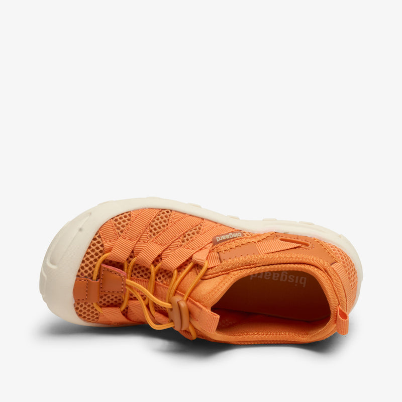 zion orange - Orange