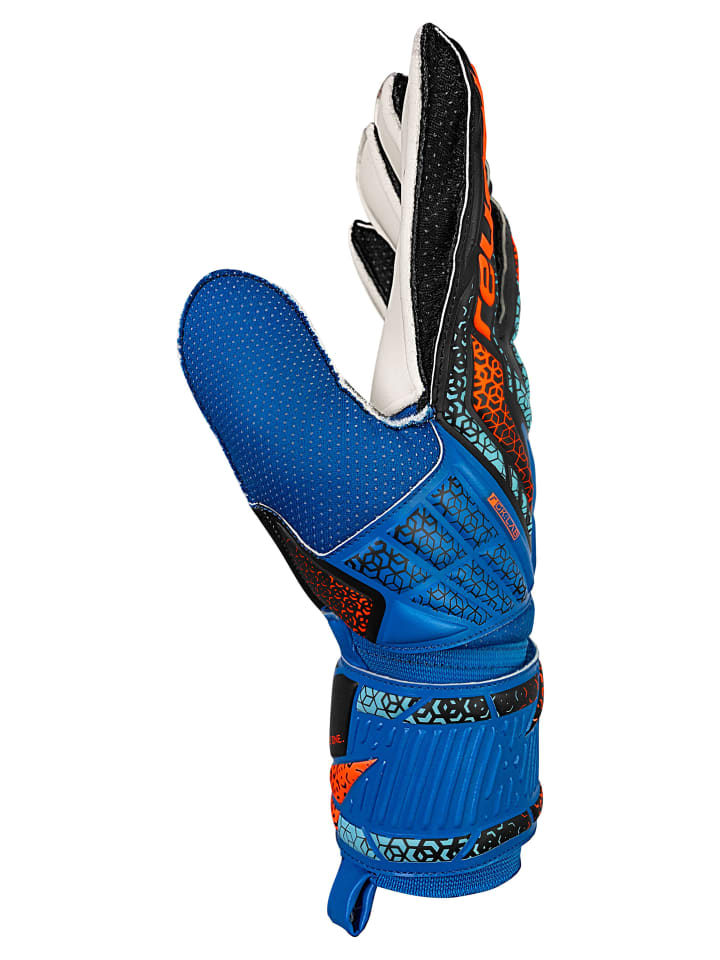 Reusch Torwarthandschuhe Attrakt Solid in 4467 electric blu/shock. orang günstig kaufen
