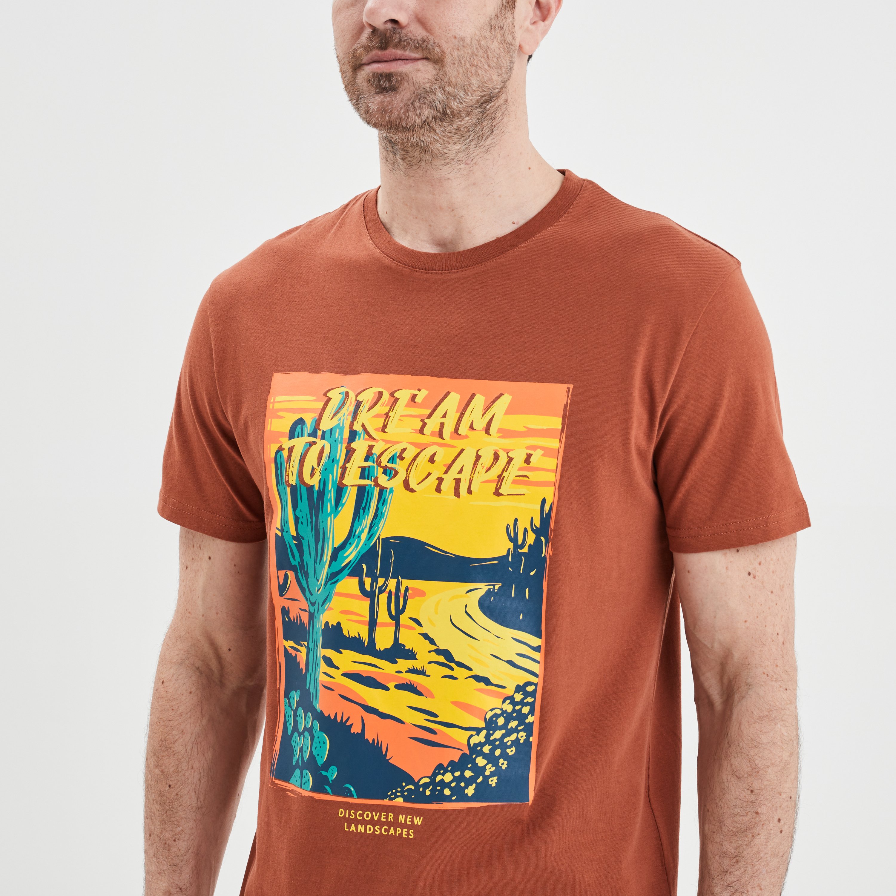 T-shirt manches courtes coton marron foncé homme | La Halle