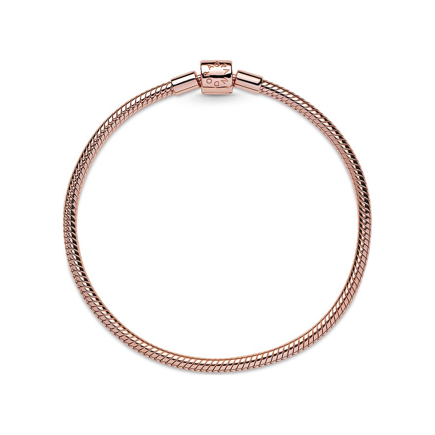 Pandora Armband Moments