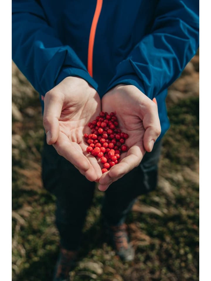 OH2 6er- Beeren in Bunt günstig kaufen onesize