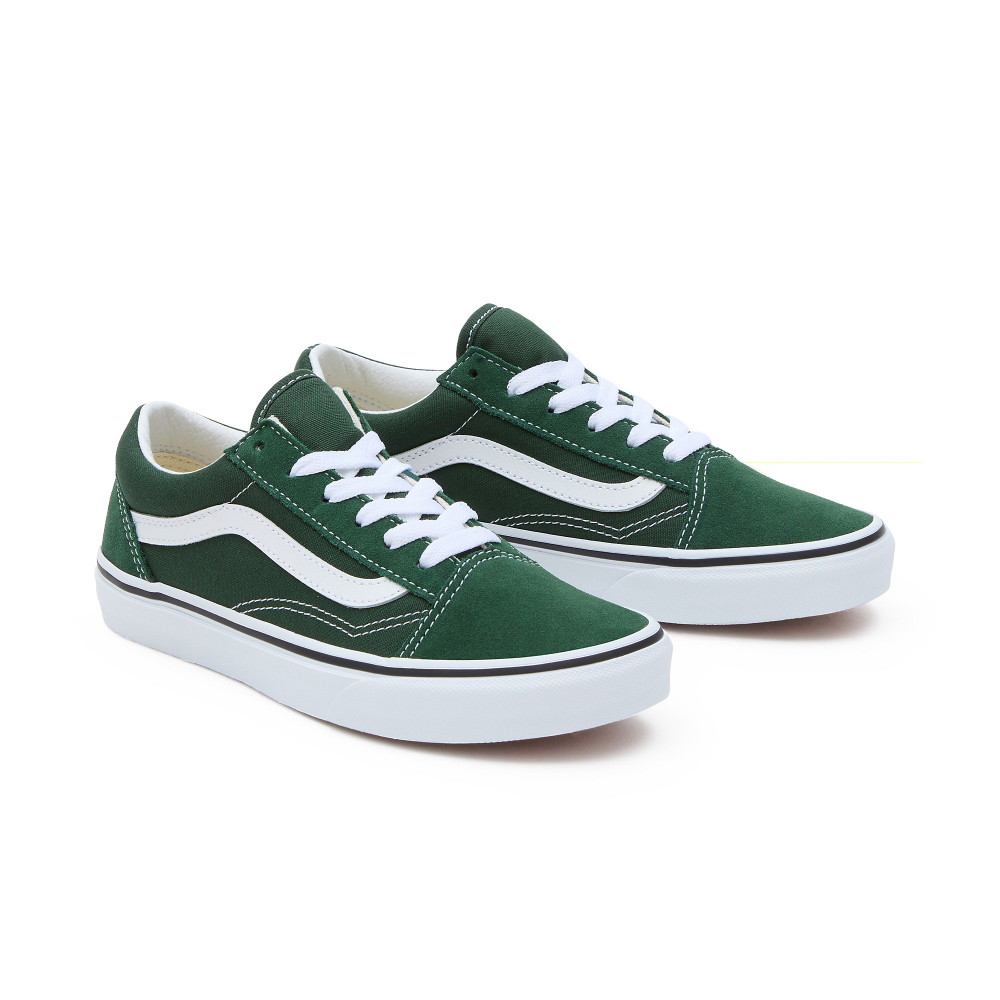 Vans Old Skool VN0A5EE6BD61 / grün