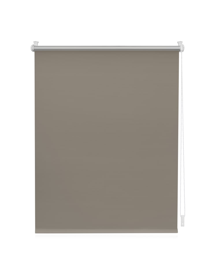 Lichtblick Seitenzugrollo in Taupe günstig kaufen