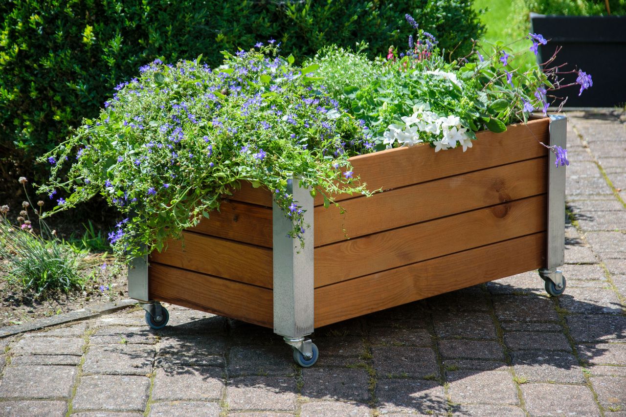dobar Rollbares Hochbeet 