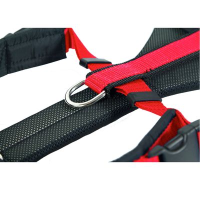 NEEWA Running Geschirr rot
