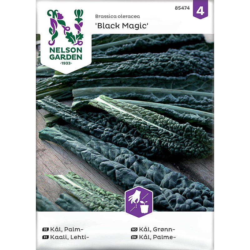 Nelson garden Frø Kål Grønn-, Black Magic