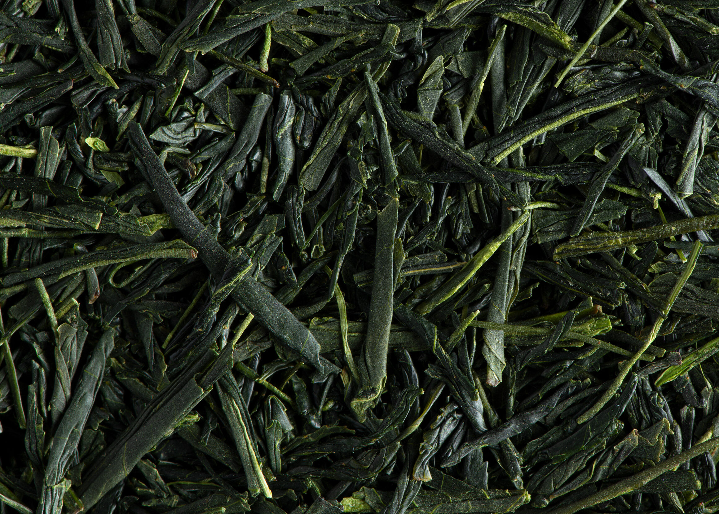 Shincha Tobettoh 2023-Boîte 50g