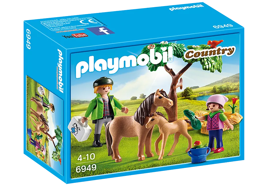 Ponymama mit Fohlen
