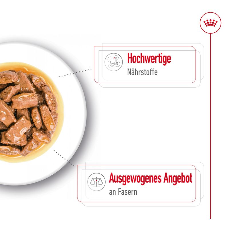 Royal Canin Maxi Adult in Soße zu TOP-Preisen