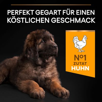 PURINA PRO PLAN Large Robust Puppy Healthy Start