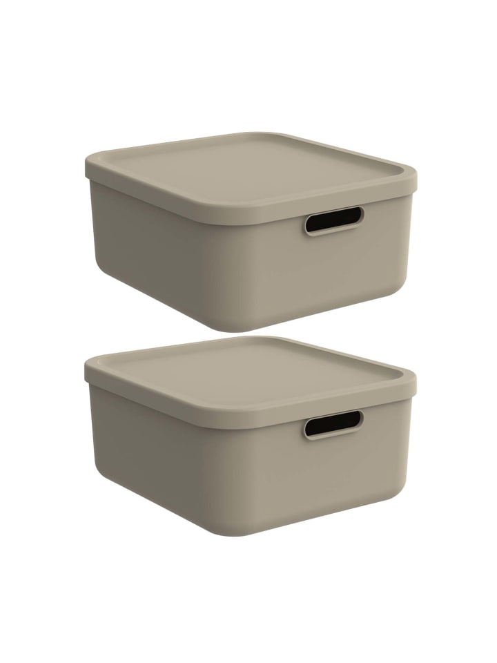 Rotho Albula Light 2er-Set Aufbewahrungskiste 20l in Cappuccino günstig kaufen onesize
